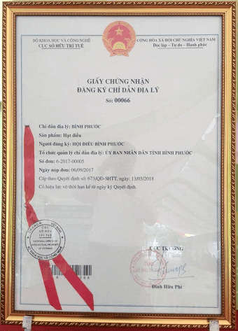 Binh Phuoc Cashew